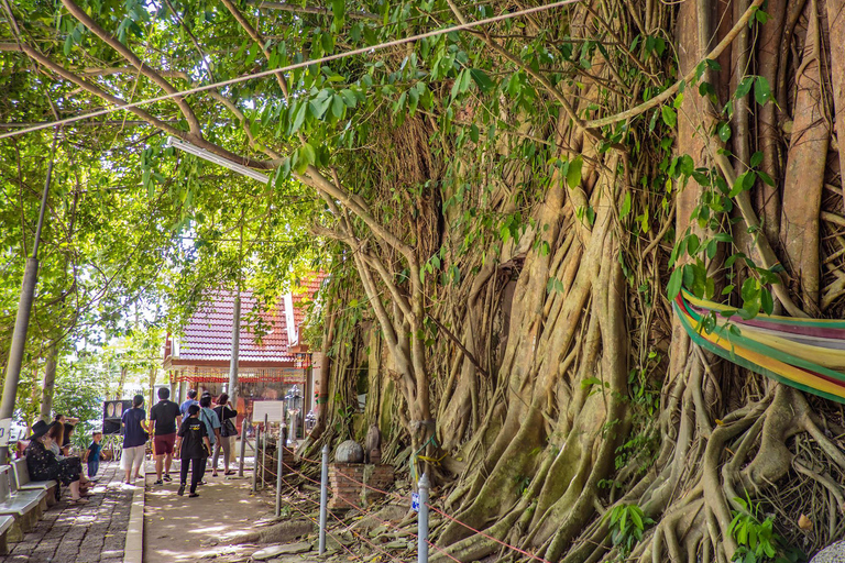 Desde Bangkok: Amphawa Floating Markets y Firefly Boat TourTour en grupo pequeño con punto de encuentro