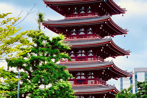 Tokio: One Day Charter Private Tour mit englischem Fahrer