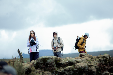 Moshi: Kilimanjaro Marangu or Shira Route Day Hike Moshi: Kilimanjaro Marangu Day Hike with Lunch