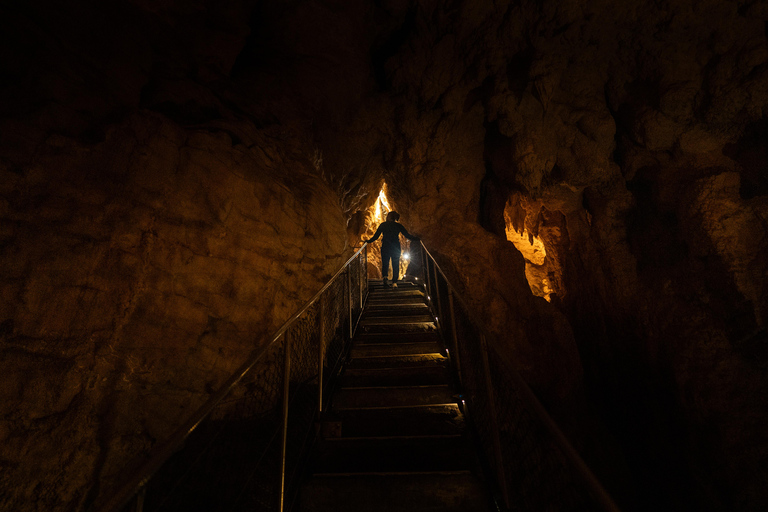 WAITOMO GLOWWORM &amp; RUAKURI CAVES- TOUR PRIVATO DA AUCKLAND