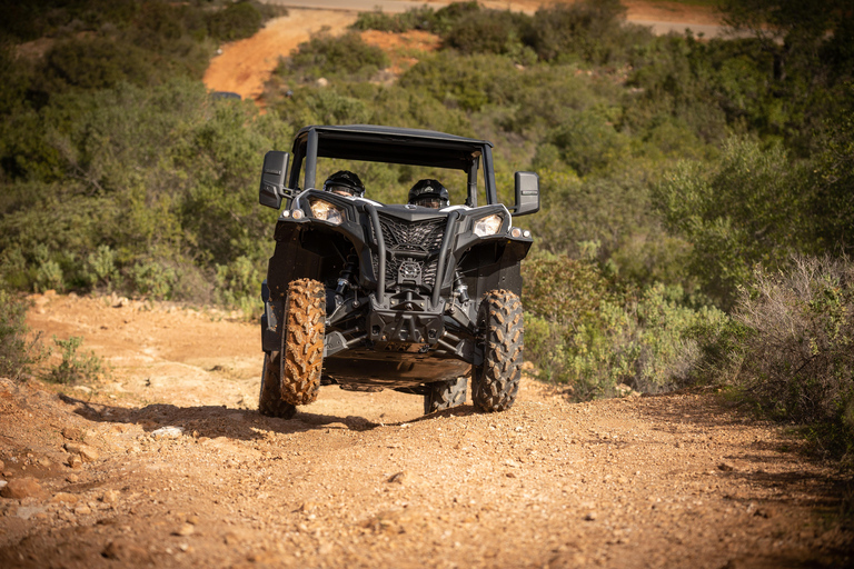 cross country Buggy 4 seats - Tour Without Pickup