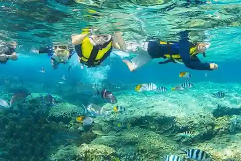 Desde Da Nang/Hoi An: Tour de 1 día a la Isla Cham o Buceo