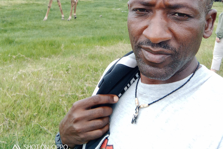 Arusha Park Memorable Safari Tour