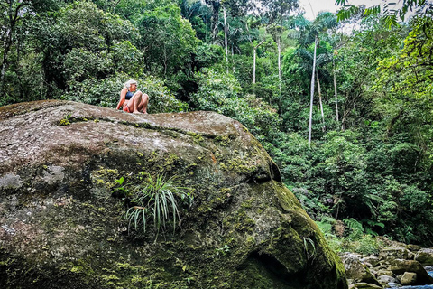 Soqtapata : 3 jours tout compris, expériences et circuit en AmazonieSoqtapata : 3 jours tout compris, expériences et visite de l&#039;Amazonie
