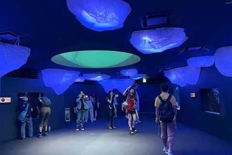 Osaka: Explore Cultural Gems with Pickup & Private Guide