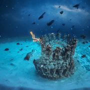 Gili Trawangan, Meno, and Air Snorkeling Tour All in