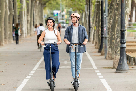 Nizza: tour panoramico in scooter elettrico di 1h301h30