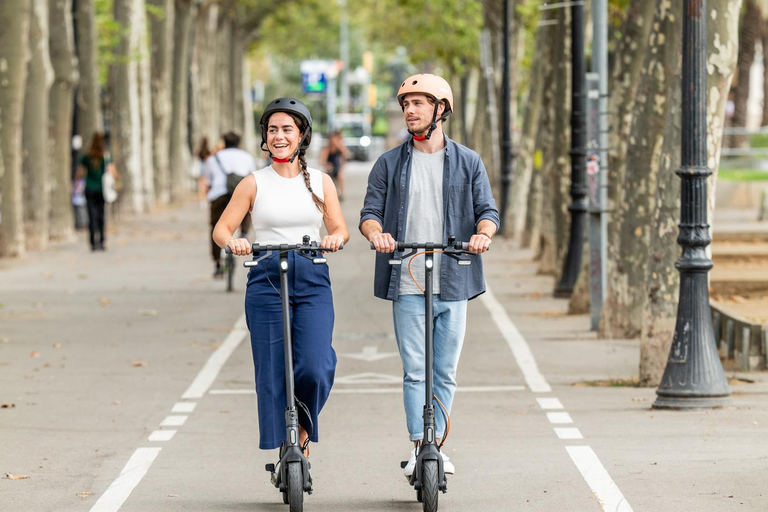 Nizza: tour panoramico in scooter elettrico di 1h301h30