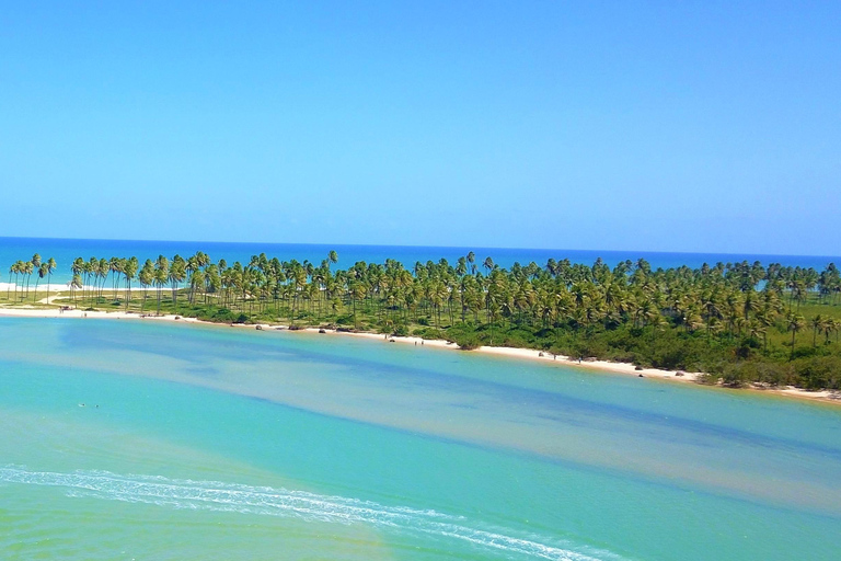 Salvador North Shore: Beach Hopping Tour to Praia do Forte