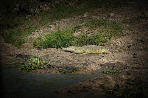 Ouganda : 19 jours de visite de la faune, des paysages et de la cultureCircuit de luxe de 19 jours pour découvrir la faune, les paysages et les cultures de l&#039;Ouganda