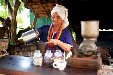 Chiang Mai: Parco Doi Inthanon, cascate e tour delle tribù delle collineIl tour economico non include il pranzo e i biglietti.