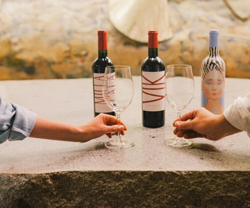 Colchagua: VIK and Montes Winery Luxury Experience