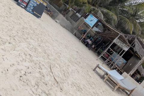 Delfintur i Mnemba, lagunakvarium och Kiwengwa-stranden.Privat tur med hotelltransfer i norra Unguja