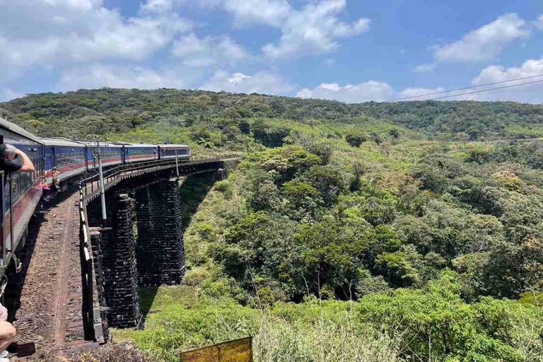 Da Colombo a Ella: e-ticket per il treno e servizio navetta dall&#039;hotel senza stressColombo: e-ticket per il viaggio in treno da Ella in prima o seconda classe