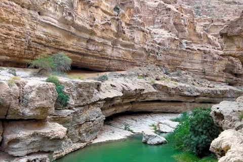 Da Muscat: Avventura a Wadi Shab, Sinkhole e Spiaggia delle Pinne