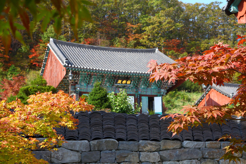 From Seoul: Snow-Capped Beauty of Deogyusan National Park