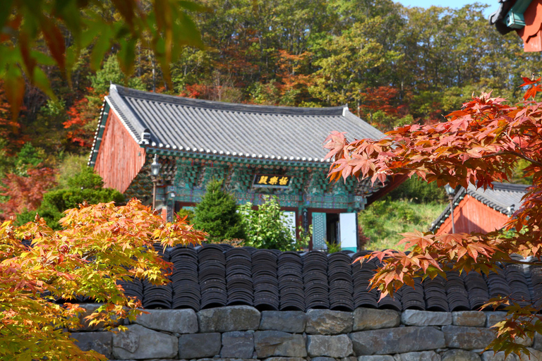 Von Seoul aus: Die schneebedeckte Schönheit des Deogyusan-Nationalparks