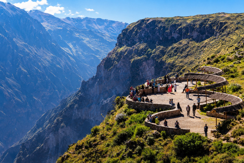 Arequipa: Colca Day Trip with Views & Condor