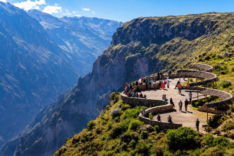 Arequipa: Colca Day Trip with Views & Condor