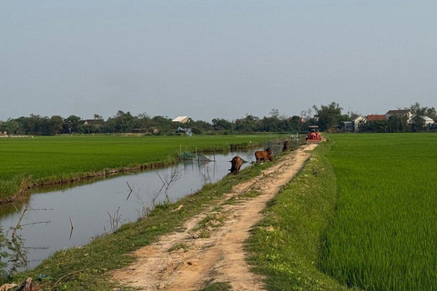 Easy Rider Motorbike Tour via Hai Van Pass: HoiAn/DaNang/Hue Easy Rider Tour via Hai Van Pass: from Hue to DaNang/HoiAn