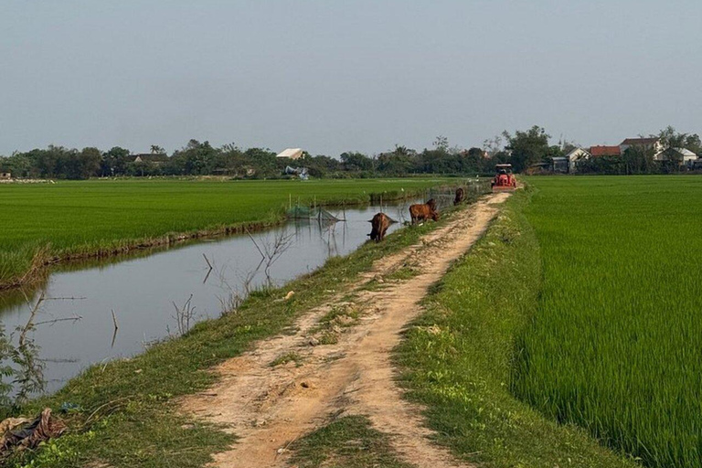 Easy Rider Motorbike Tour via Hai Van Pass: HoiAn/DaNang/Hue Easy Rider Tour via Hai Van Pass: from Hue to DaNang/HoiAn
