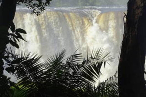 Cataratas Vitória: Visita as Cataratas