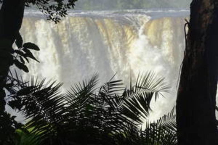 Victoria Falls: Tour of the Falls