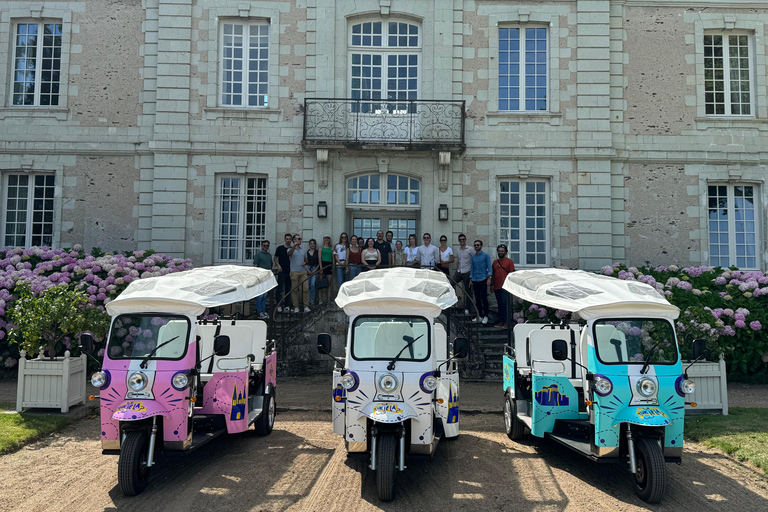 Angers: Fahrt an den Ufern der Loire im elektrischen Tuk Tuk