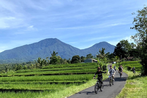 Bali: pola ryżowe, wioska ptaków, wycieczka rowerowa do gorących źródełBali: pola ryżowe, wioska ptaków, gorące źródła – wycieczka rowerowa