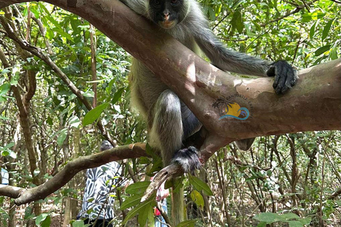Zanzibar: Salaam Cave, Jozani Forest & The Rock Restaurant Self Transfer Experience