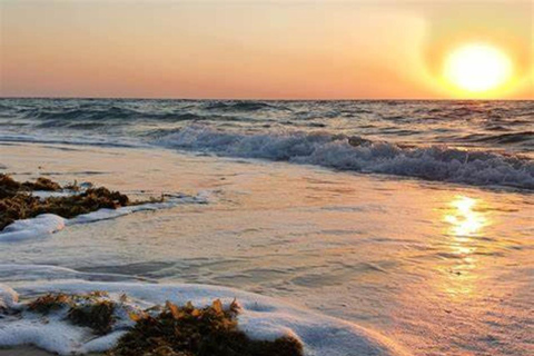 Doha: Full-Day Desert Safari, Dune Bashing & BBQ Dinner