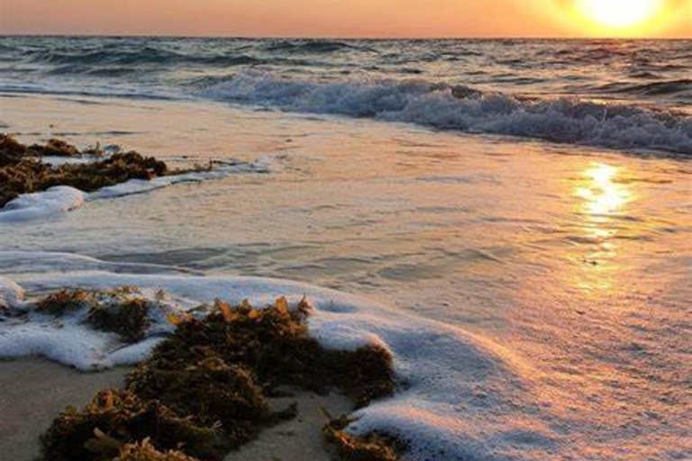 Doha: Full-Day Desert Safari, Dune Bashing & BBQ Dinner