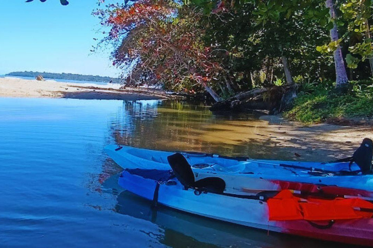 Private Kayaking Adventure: a 2-hour Wildlife Escape Self-Guided Kayaking Adventure: a 2-hour Wildlife Escape