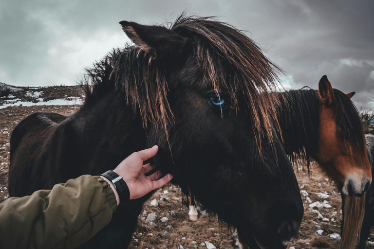 Iceland: Reynisfjara Black‑Sand Beach Horseback Adventure