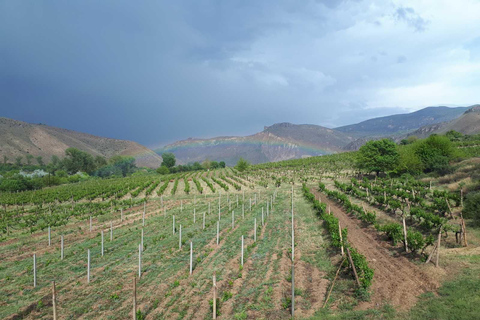 Tour di un giorno sulla Strada del Vino di Vayots Dzor, alla scoperta delle cantine di Areni