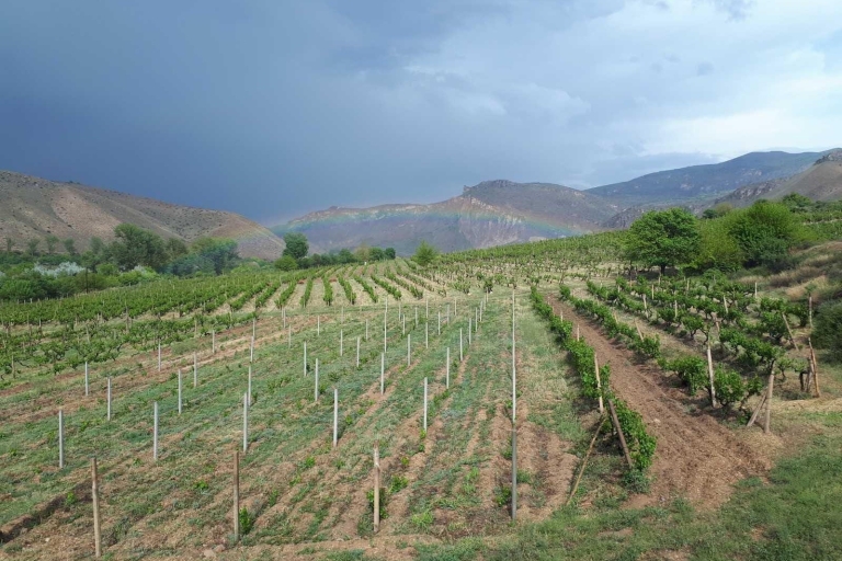 Excursion d'une journée sur la route des vins de Vayots Dzor, à la découverte des vignobles d'Areni