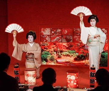 Tokyo: Geisha Experience Performance & Japanese Fine Dining