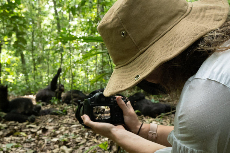 5 Días Ruanda: Volcanes, Lago Kivu, Nyungwe y Nyanza