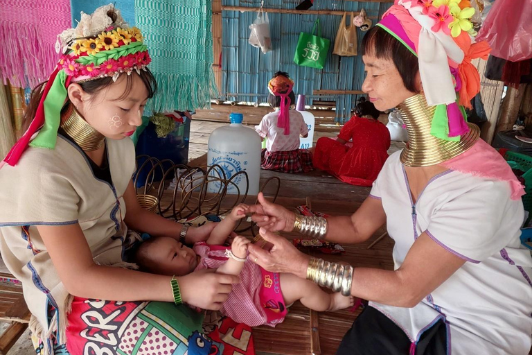 Chiang Rai:Guided Highlights Full-Day Tour-FREE LUNCH BUFFET Experience the Wonders of Chiang Rai with Free Thai Buffet