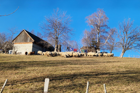 3-DAY Via Transilvanica Experience in Terra Borza Teutonica