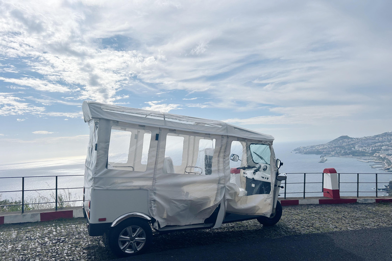 Madeira: Funchal's Eco Private City Tour