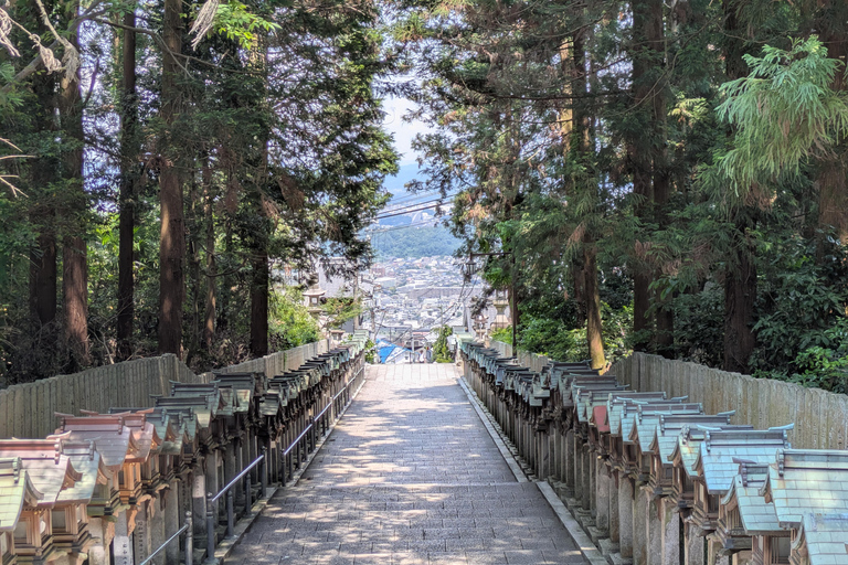 From Osaka: Horyuji Temple and Mount Ikoma Day Tour
