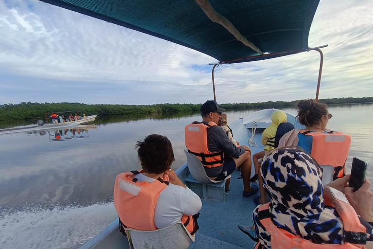 Yucatán: Bootstour durch das Biosphärenreservat Río Lagartos