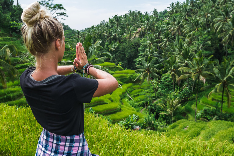 Ubud: Waterfalls, Water Temple, Rice Field and Monkey forest Private Tour NOT include Entrance Ticket