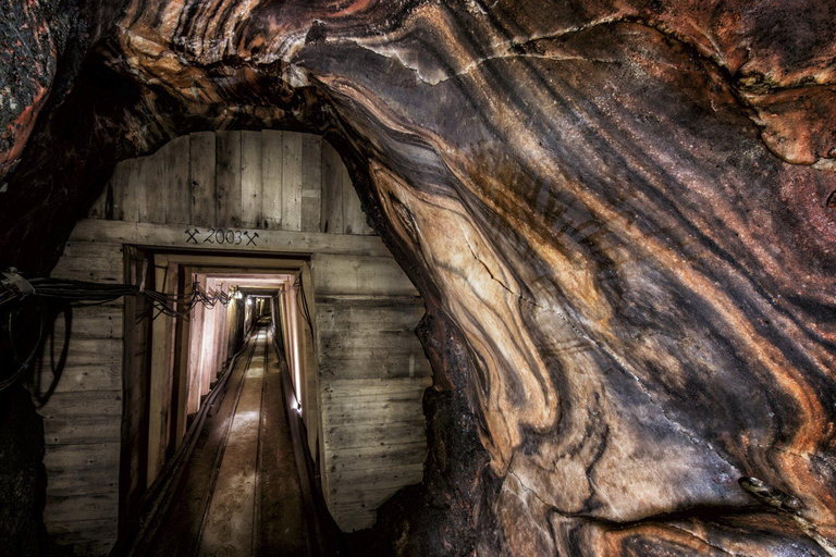 Explore Salt mine tour with the ticket from Salzburg