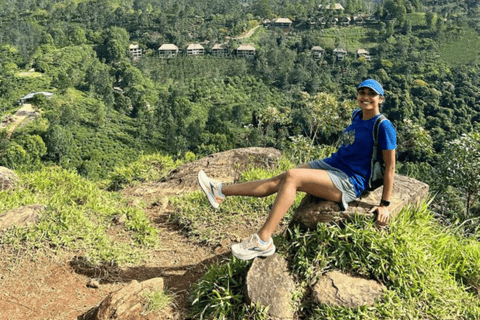 Von Ella : Sonnenuntergangswanderung zum Little Adams Peak