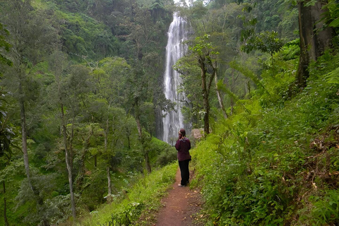 Materuni: Coffee Making and Waterfall Hike Day Trip