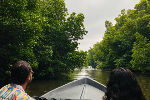 Bentota River Safari: Entdecke Wildtiere und Mangroven vom Boot ausBentota River Safari: Entdecke die Tierwelt und Mangroven vom Boot aus