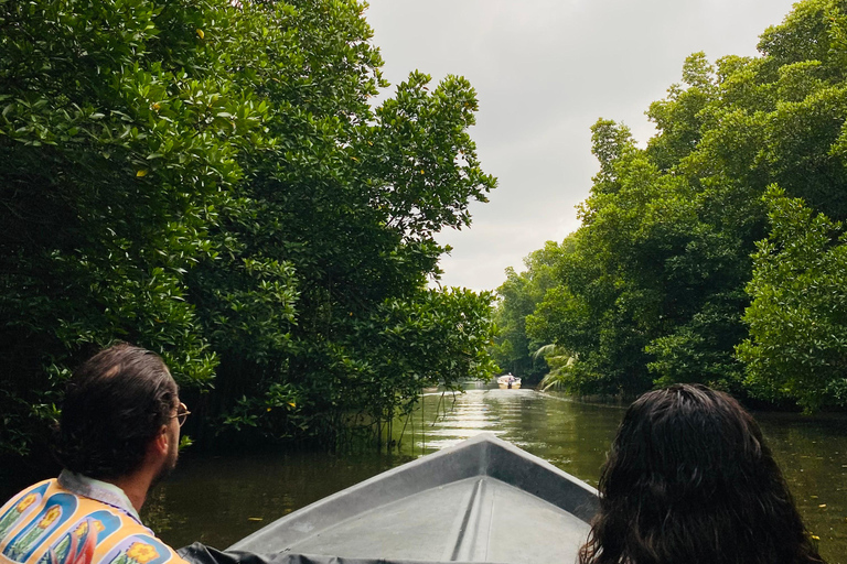 Bentota River Safari: Entdecke Wildtiere und Mangroven vom Boot ausBentota River Safari: Entdecke die Tierwelt und Mangroven vom Boot aus