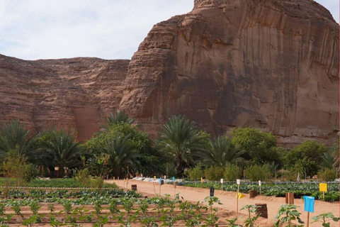 AlUla: Oasis Farm Tour and Traditional Feast with Locals